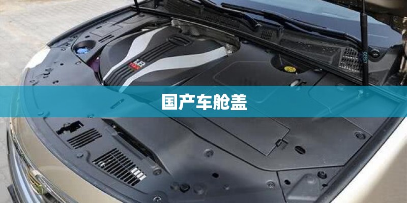 十大ccd相机品牌排行