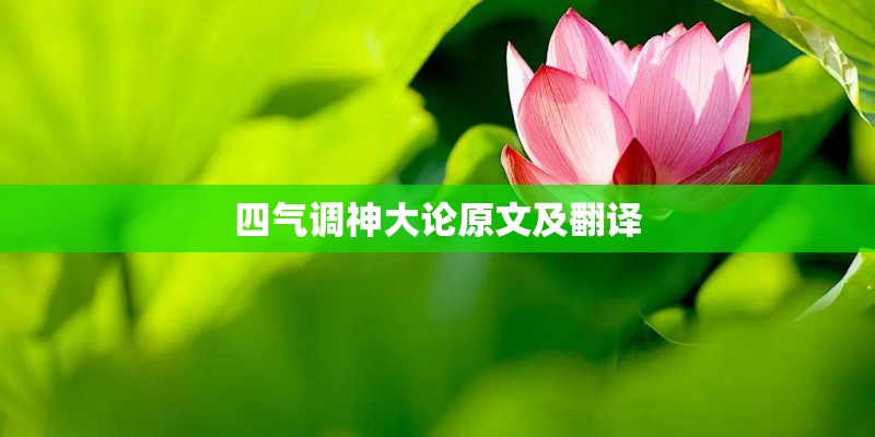 屋里好热种植物