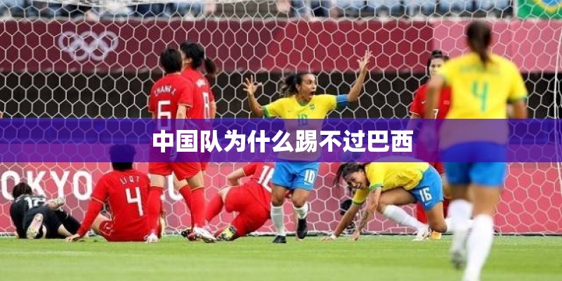 紫海香堤香草艺术庄园点评