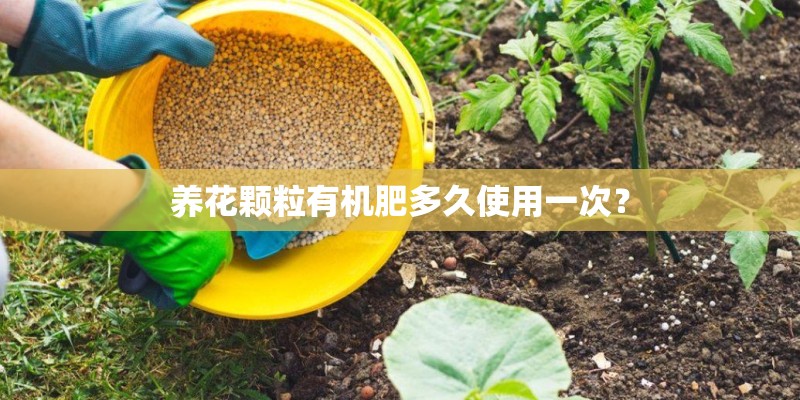 描写向日葵的句子或段落（初中生水平！不要给我小学生写的！）