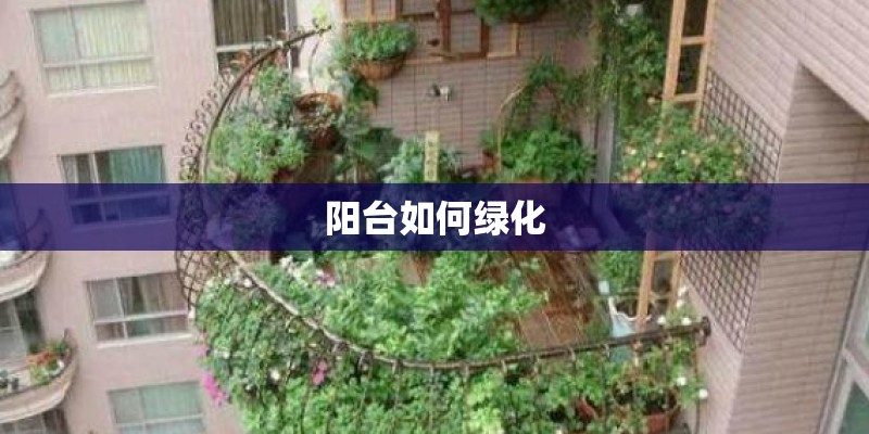 葡萄可以嫁接到什么树上 葡萄可以嫁接到哪些树上