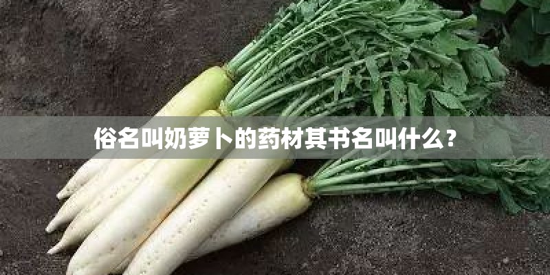 俗名叫奶萝卜的药材其书名叫什么？