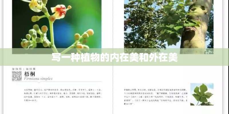 写一种植物的内在美和外在美
