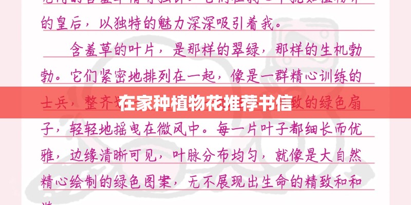 在家种植物花推荐书信