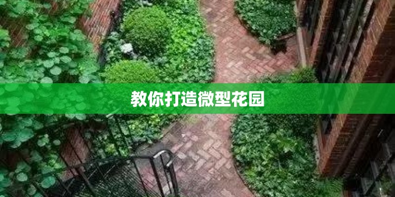 教你打造微型花园