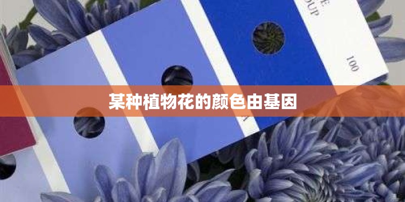 某种植物花的颜色由基因