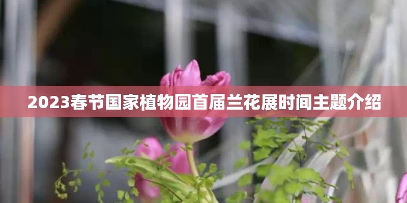2023春节国家植物园首届兰花展时间主题介绍