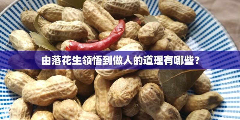由落花生领悟到做人的道理有哪些？