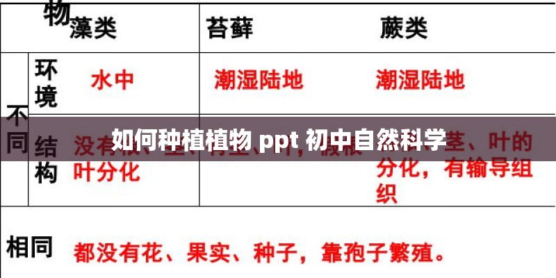 如何种植植物 ppt 初中自然科学