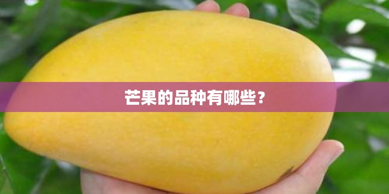 芒果的品种有哪些？