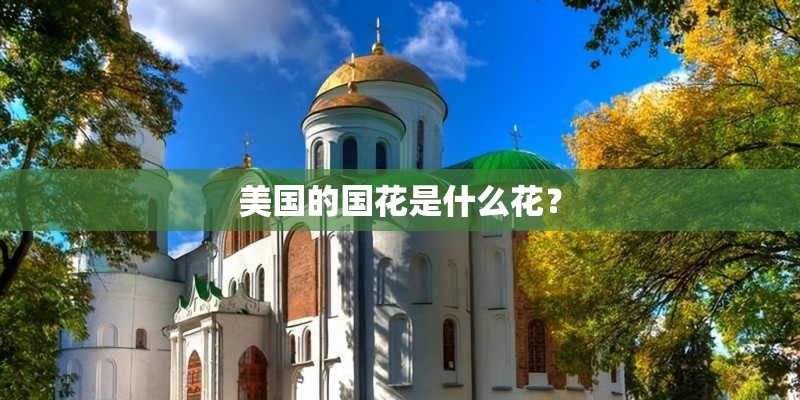 美国的国花是什么花？