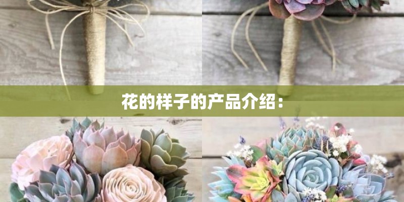 花的样子的产品介绍：