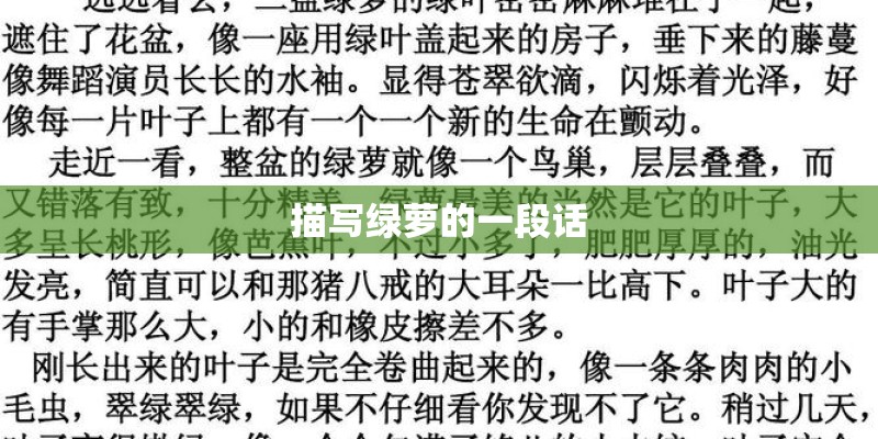 描写绿萝的一段话