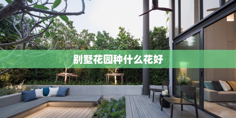 别墅花园种什么花好