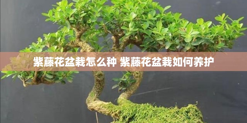 jvc组合音响怎么样？