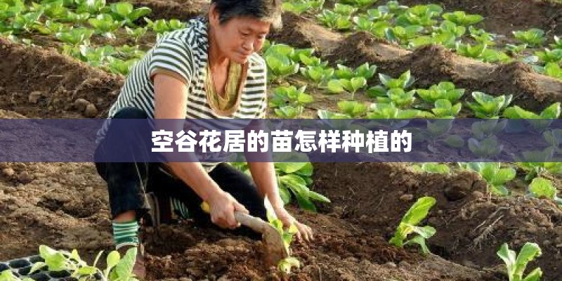 佳能IXUS105的配置参数