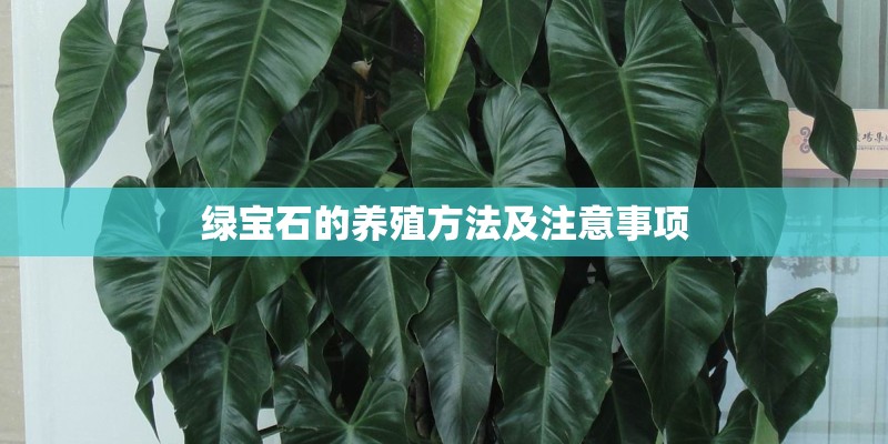 建筑生你要知道的8个素材网站