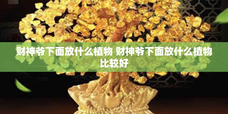 财神爷下面放什么植物 财神爷下面放什么植物比较好