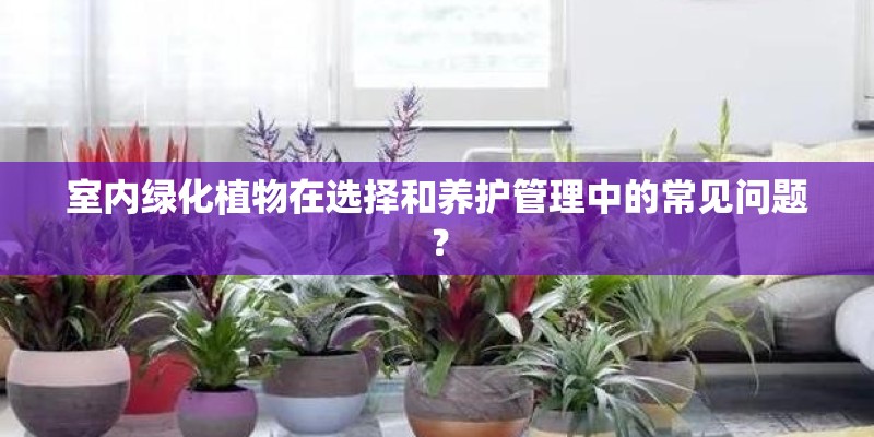 室内绿化植物在选择和养护管理中的常见问题？