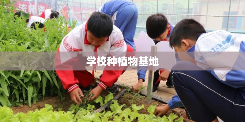 学校种植物基地