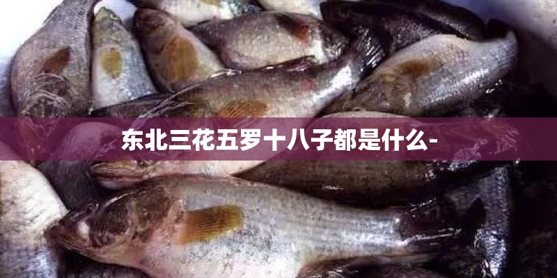东北三花五罗十八子都是什么-