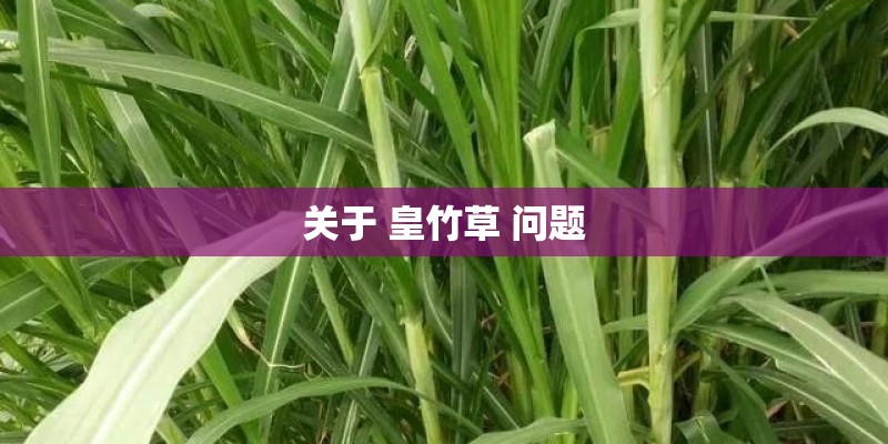 关于 皇竹草 问题