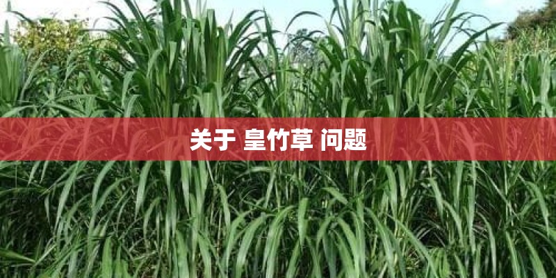 惠普台式机为什么不能从光盘启动？
