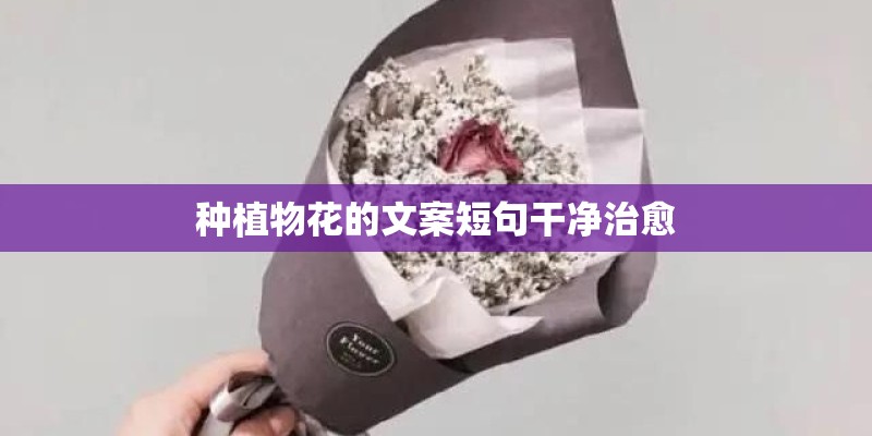 种植物花的文案短句干净治愈