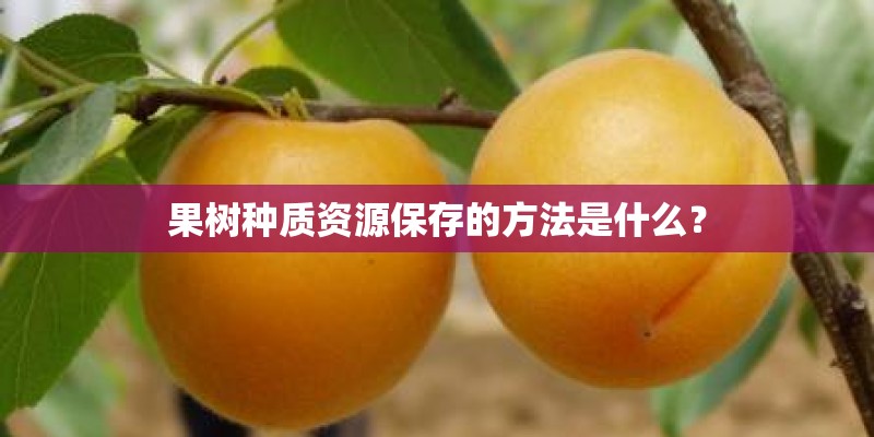 果树种质资源保存的方法是什么？