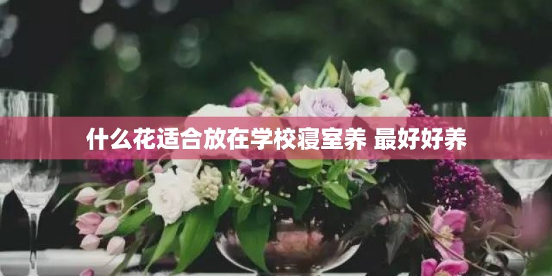 什么花适合放在学校寝室养 最好好养