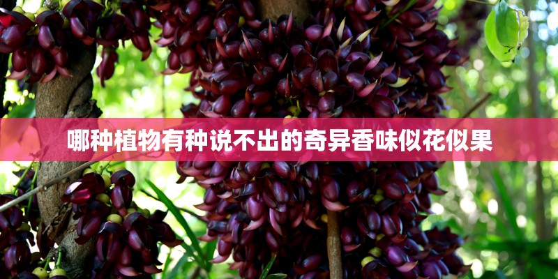 比预想的要好 联想Y470满负荷温度实测
