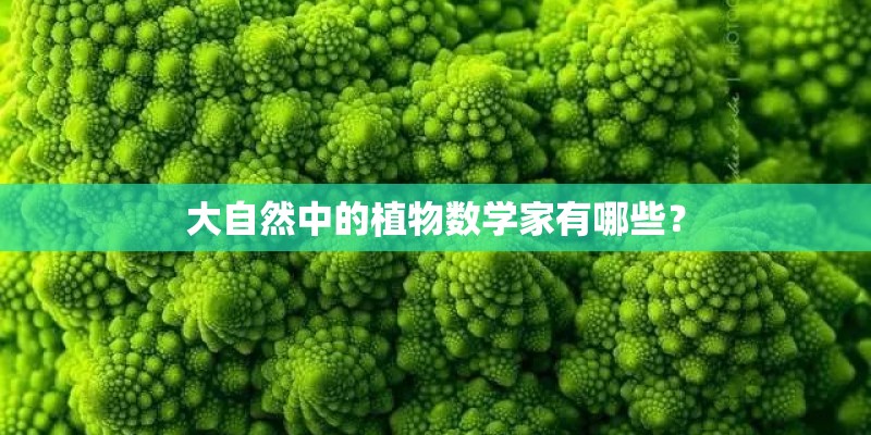 大自然中的植物数学家有哪些？