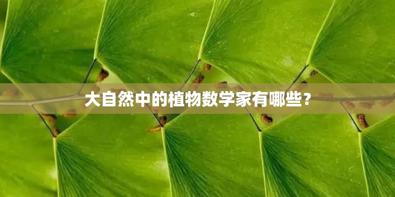 大自然中的植物数学家有哪些？