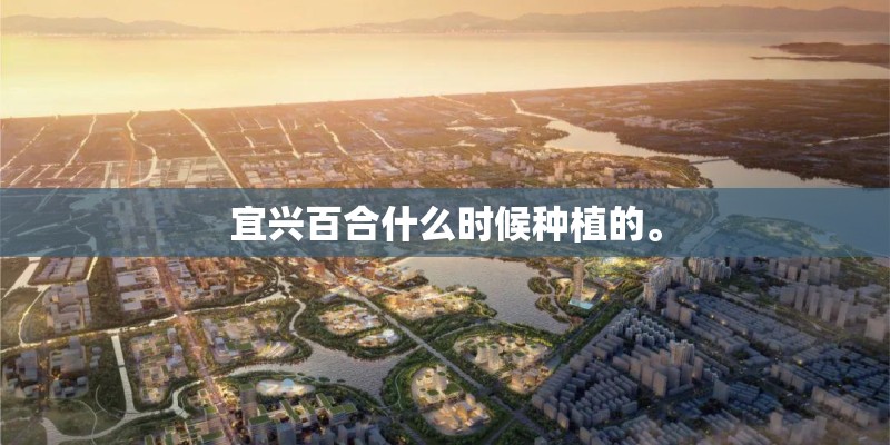 宜兴百合什么时候种植的。