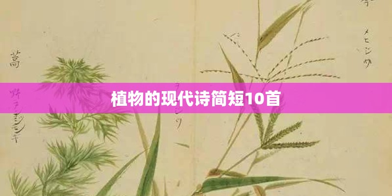 植物的现代诗简短10首