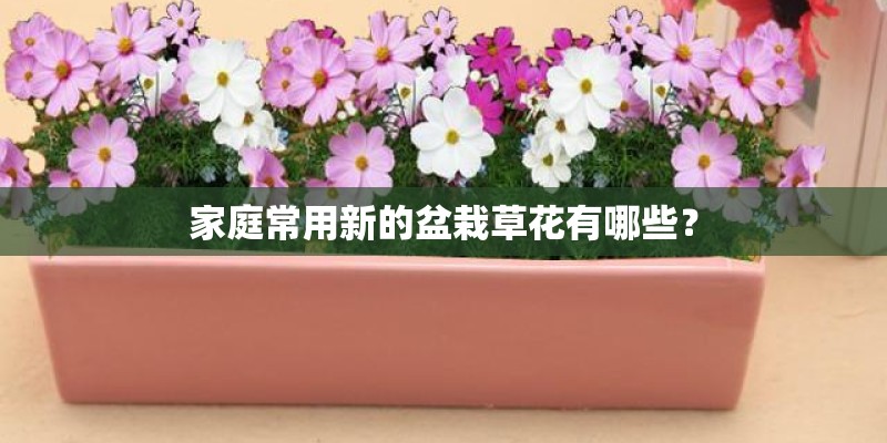 如何修笔记本才不会被黑