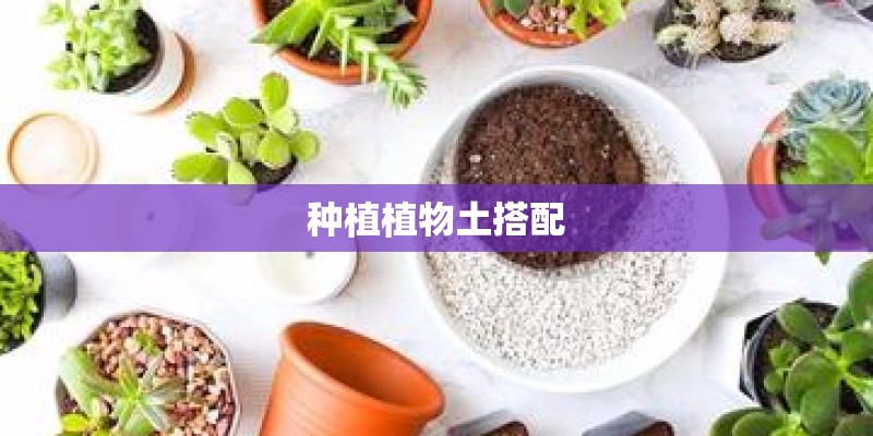 种植植物土搭配
