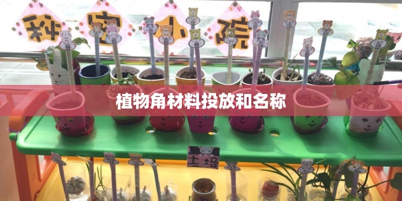 植物角材料投放和名称