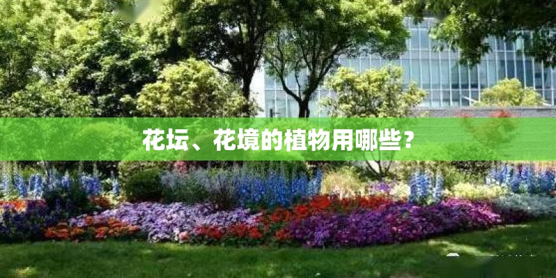 花坛、花境的植物用哪些？