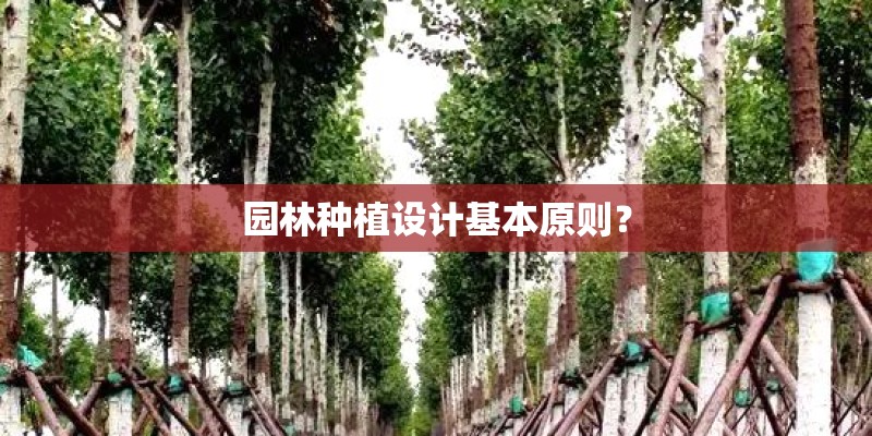园林种植设计基本原则？