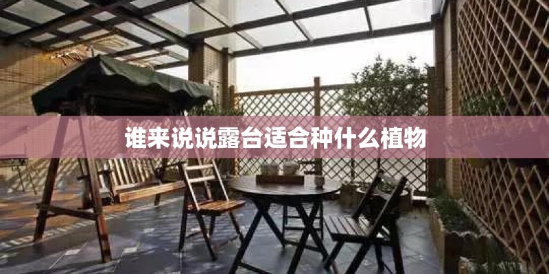 谁来说说露台适合种什么植物