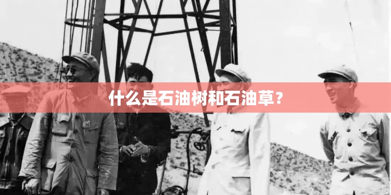 什么是石油树和石油草？