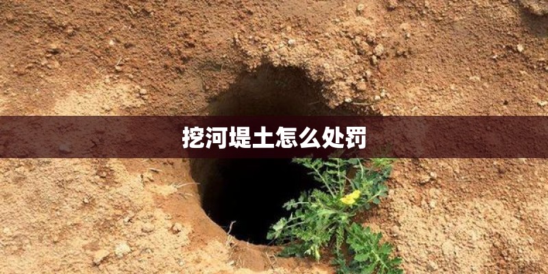 挖河堤土怎么处罚