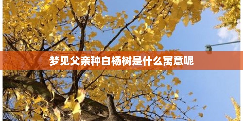 梦见父亲种白杨树是什么寓意呢