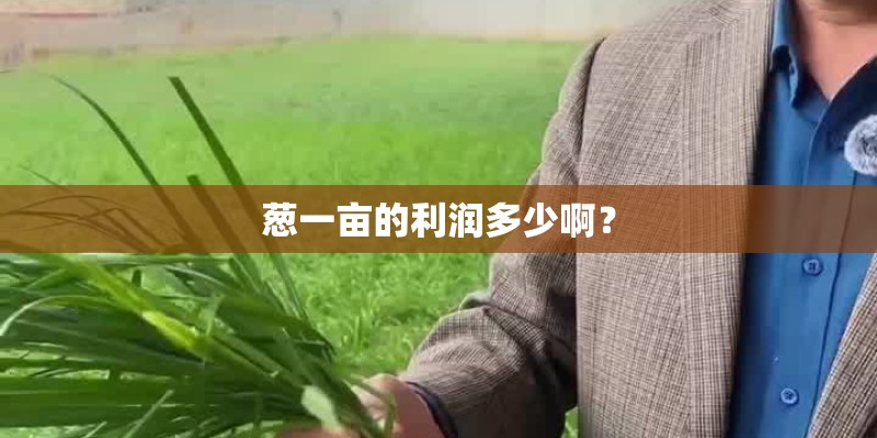 葱一亩的利润多少啊？