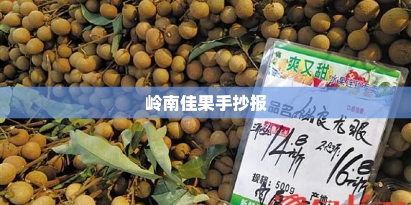 岭南佳果手抄报