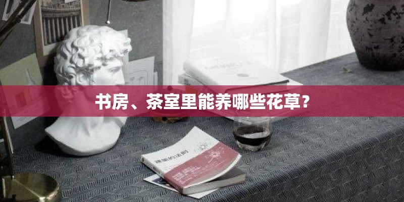 书房、茶室里能养哪些花草？