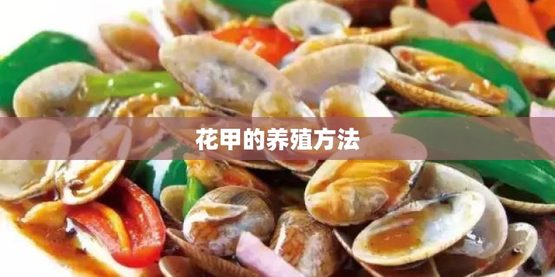 花甲的养殖方法 花甲的养殖方法