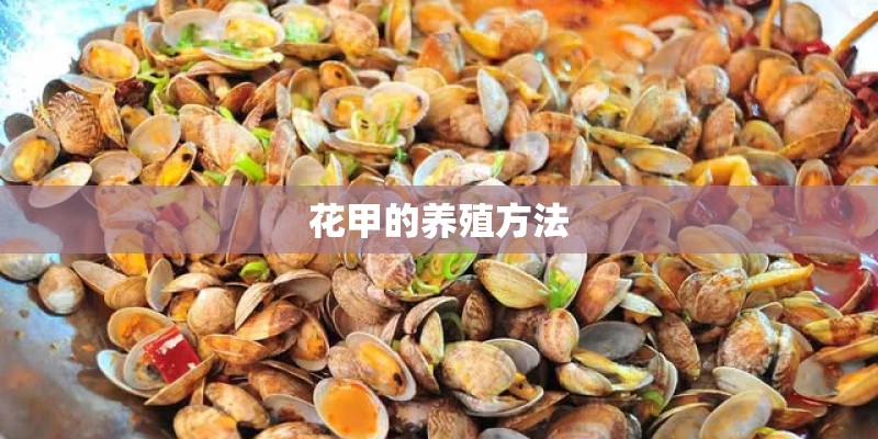 花甲的养殖方法 花甲的养殖方法