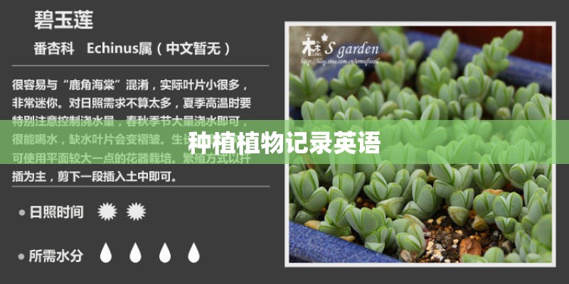 种植植物记录英语